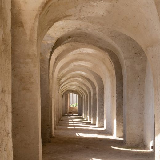 Journées européennes de l'archéologie